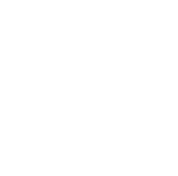 badge content